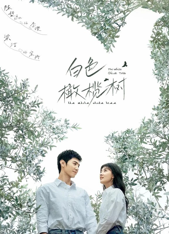 白色橄榄树