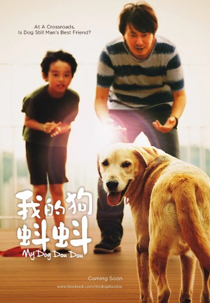 我的狗蚪蚪