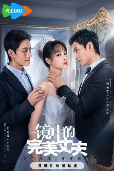 镜中的完美丈夫