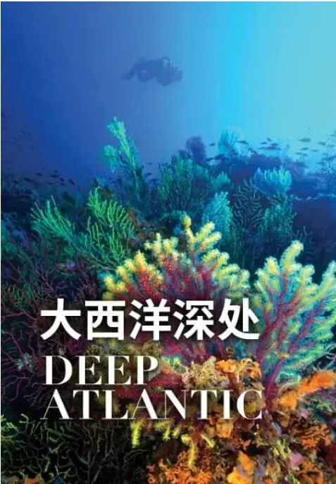 大西洋深处