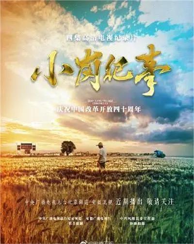 小岗纪事