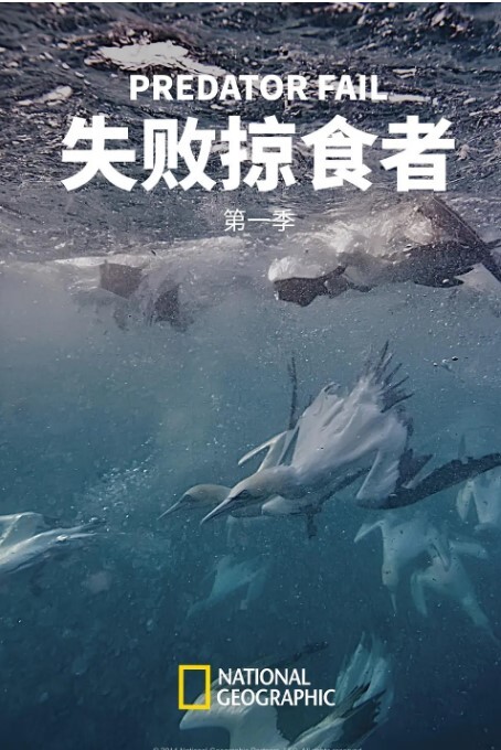 失败掠食者 第一季