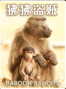 狒狒盗贼