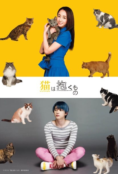 猫是要抱着的