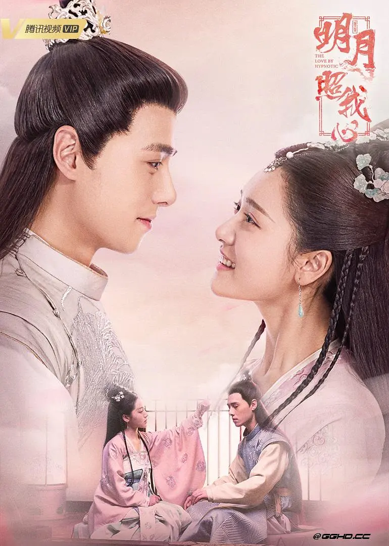 明月照我心 2019