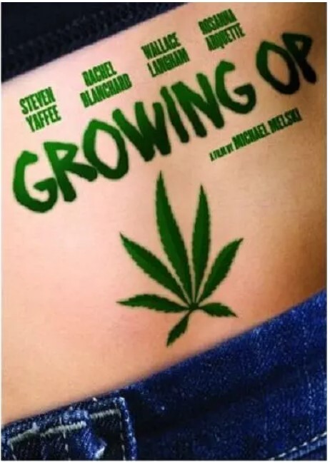 我家种大麻